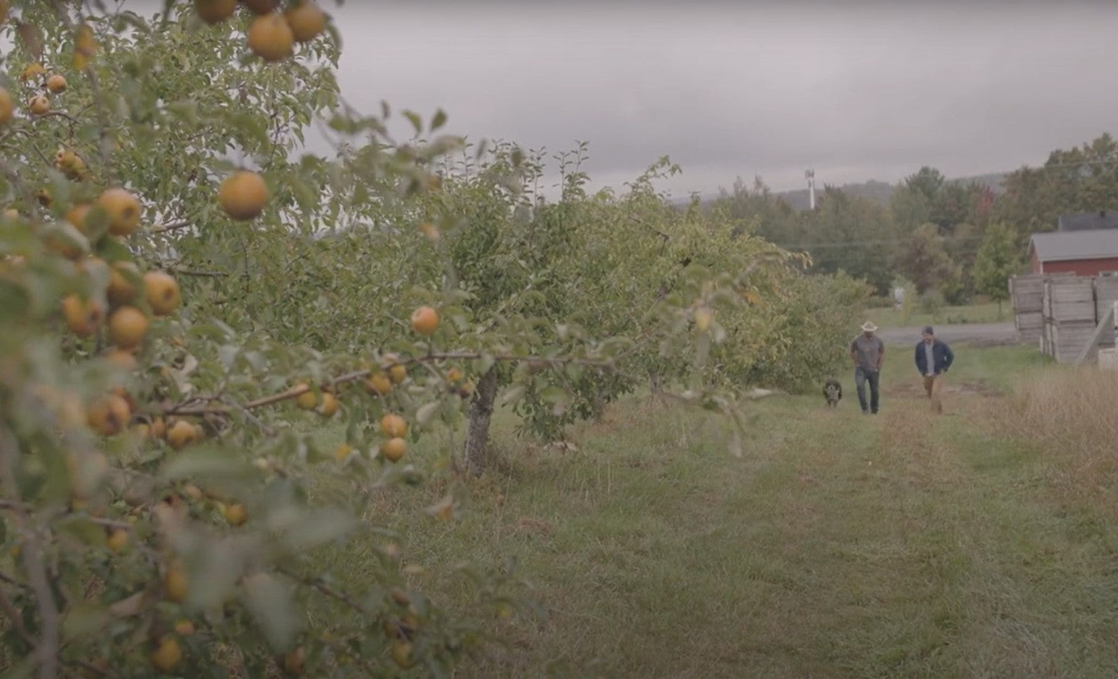 Coming Full Circle – The story behind our new Hair Treatment