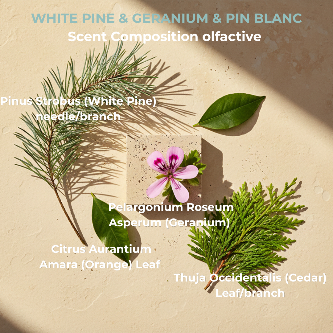 White Pine & Geranium Solid Hair Care Duo